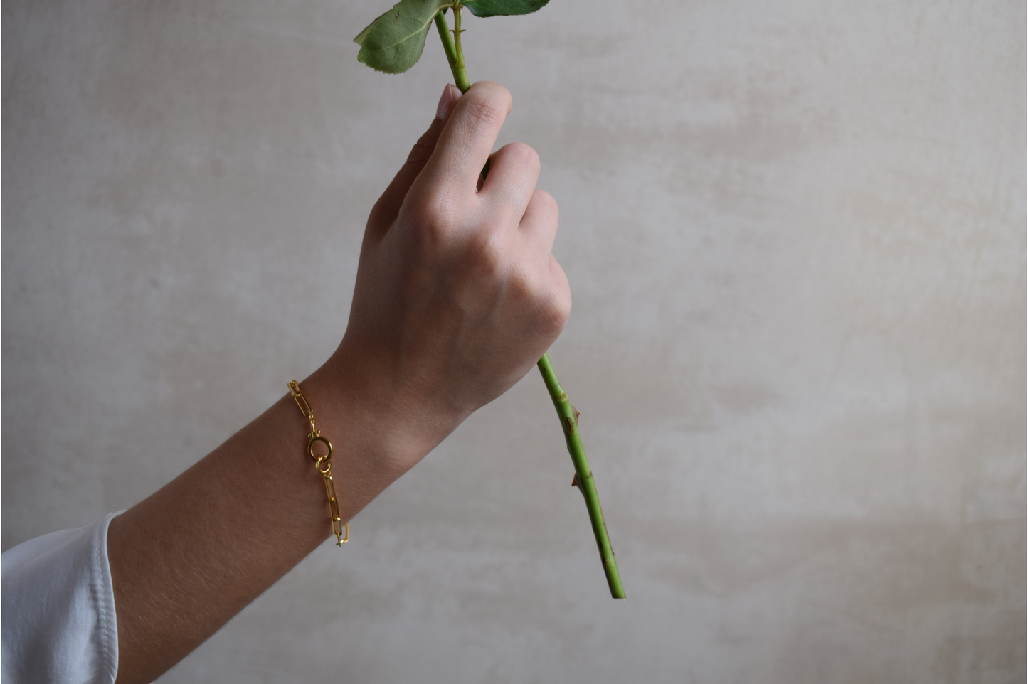 Pulsera ORIGEN