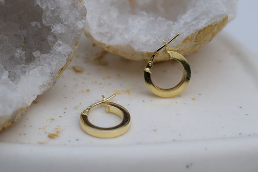 Pendientes LIRA
