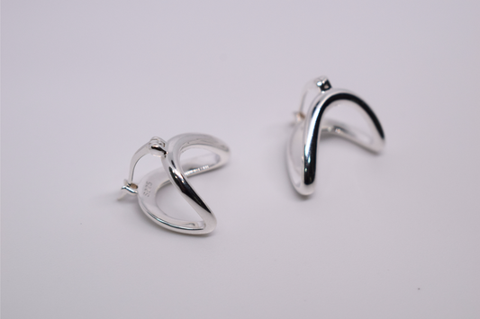 Pendientes SELENE